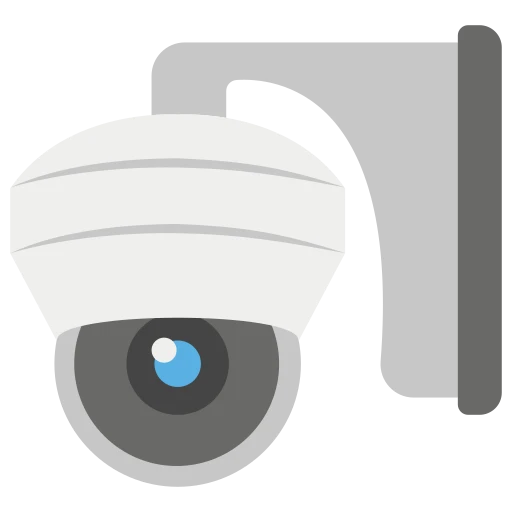 Surveillance & Security Cameras